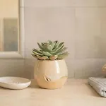 Pavoncella By Interhome Apartman