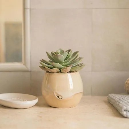 Pavoncella By Interhome Lägenhet